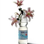 New York Review Books Kindle Satire Fiction City Life-0