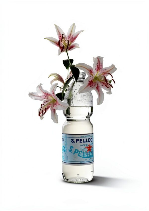 New York Review Books Kindle Satire Fiction City Life-0