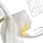 Mind Calming SUDOKU Kindle Scribe Only Series Puzzle Book-0