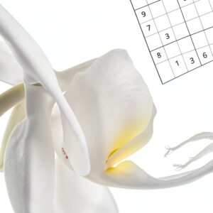 Mind Calming SUDOKU Kindle Scribe Only Series Puzzle Book-0