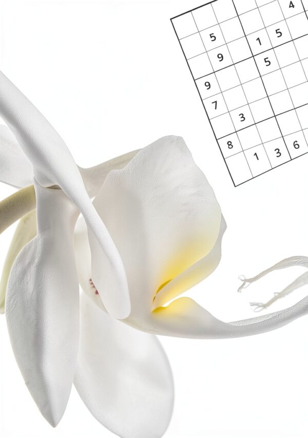 Mind Calming SUDOKU Kindle Scribe Only Series Puzzle Book-0